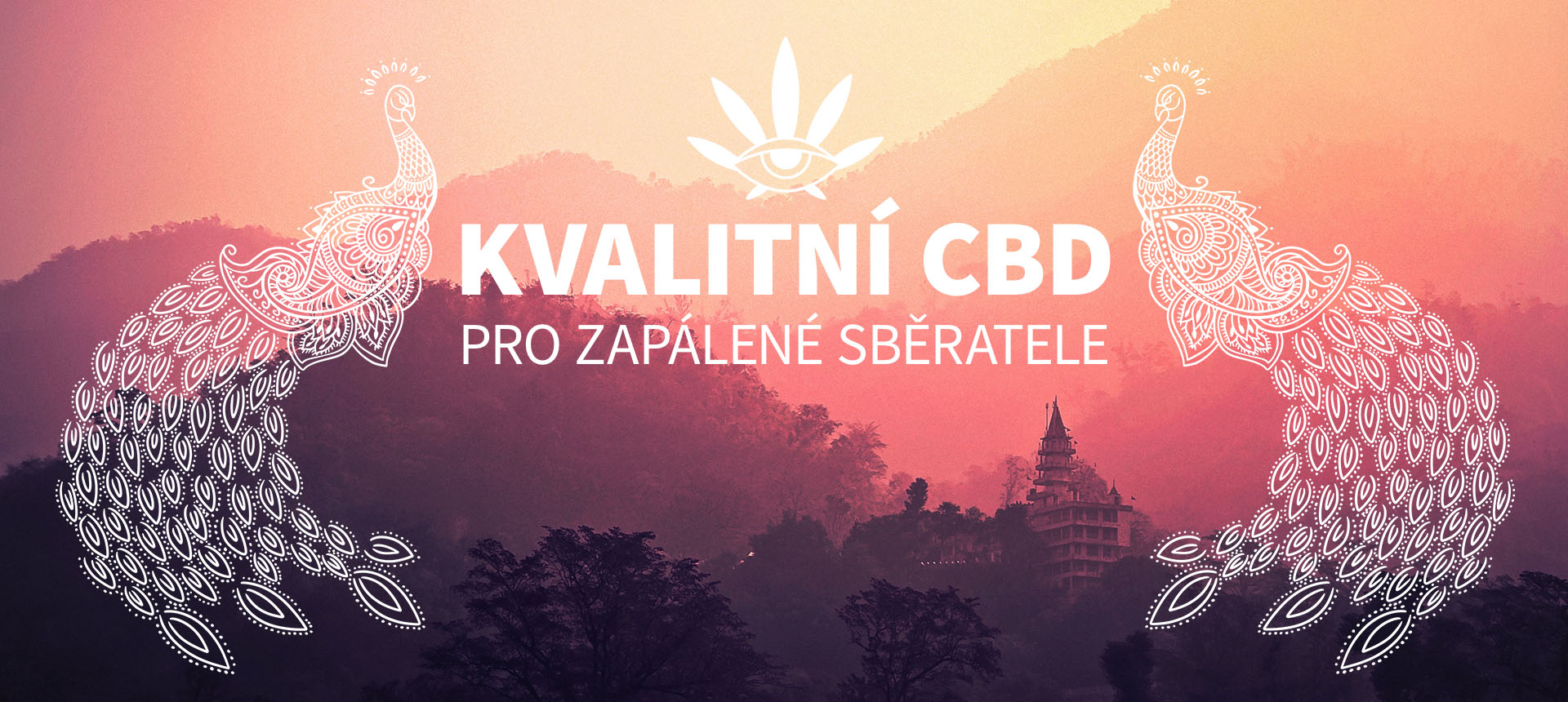 08 CBD1920x860_c